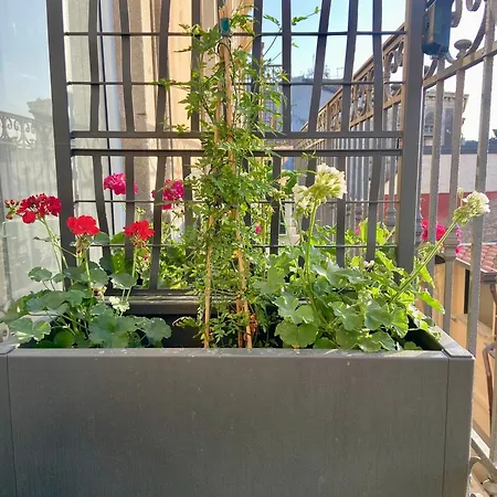 Pensionat Raisi & Catania